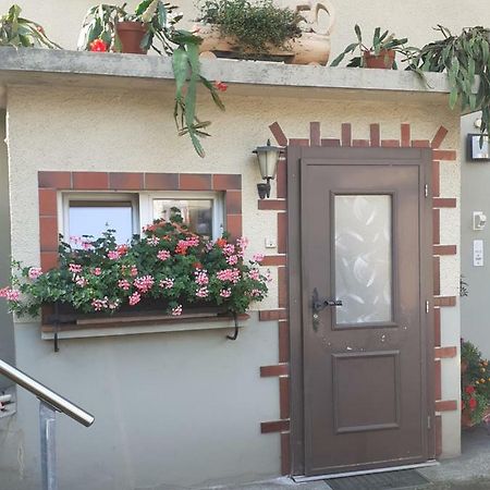Wohnung Wohlensee Hinterkappelen Экстерьер фото